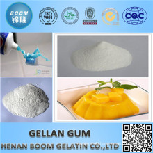 Pharmaceutical Grade Low and High Acyl Gellan Gum